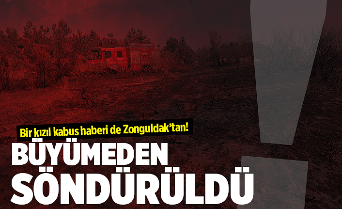 Bir orman yangını da Zonguldak'ta çıktı!