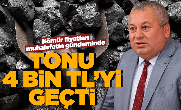Enginyurt: "Kömürün tonu 4 bin TL'yi geçti"