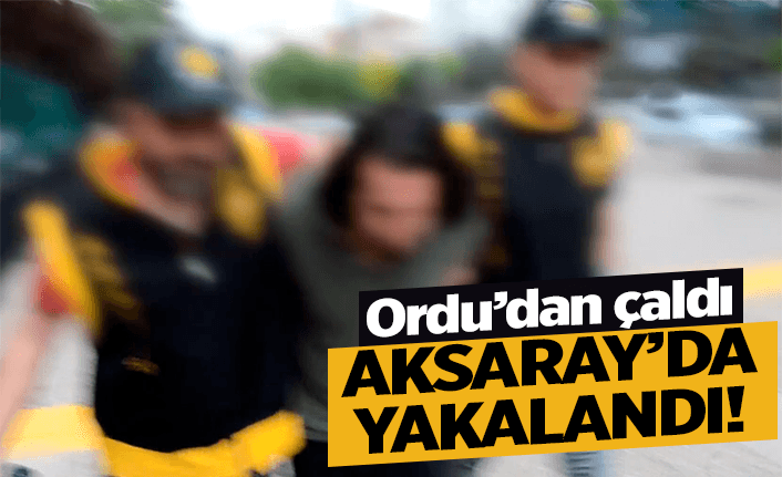 Ordu'da çaldı Aksaray'da yakalandı