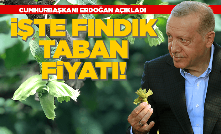 Cumhurbaşkanı Erdoğan fındık taban fiyatını açıkladı!
