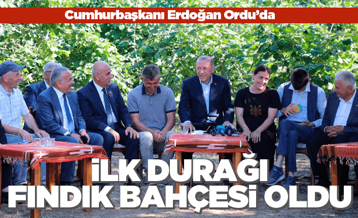 Cumhurbaşkanı Erdoğan'ın Ordu'daki ilk durağı 'fındık bahçesi' oldu