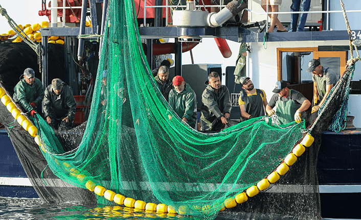 Karadeniz'de balıkçıların palamut mesaisi sürüyor