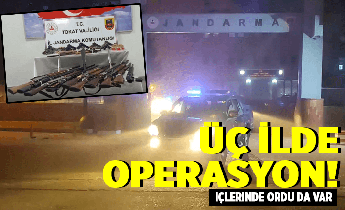 Jandarma'dan 3 ilde silah operasyonu