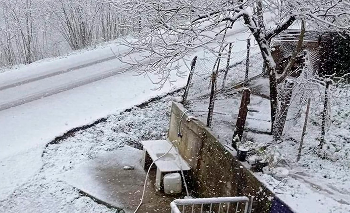Ordu, Samsun ve Tokat'ta kar yağışı etkili oldu