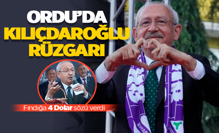 Kılıçdaroğlu: "Fındık 4 Dolar eşittir Türk Lirası olacak"