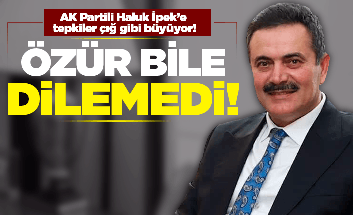 AK Partili Haluk İpek'e büyük tepki var!